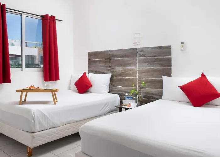 24 By Xperience 3* Playa del Carmen